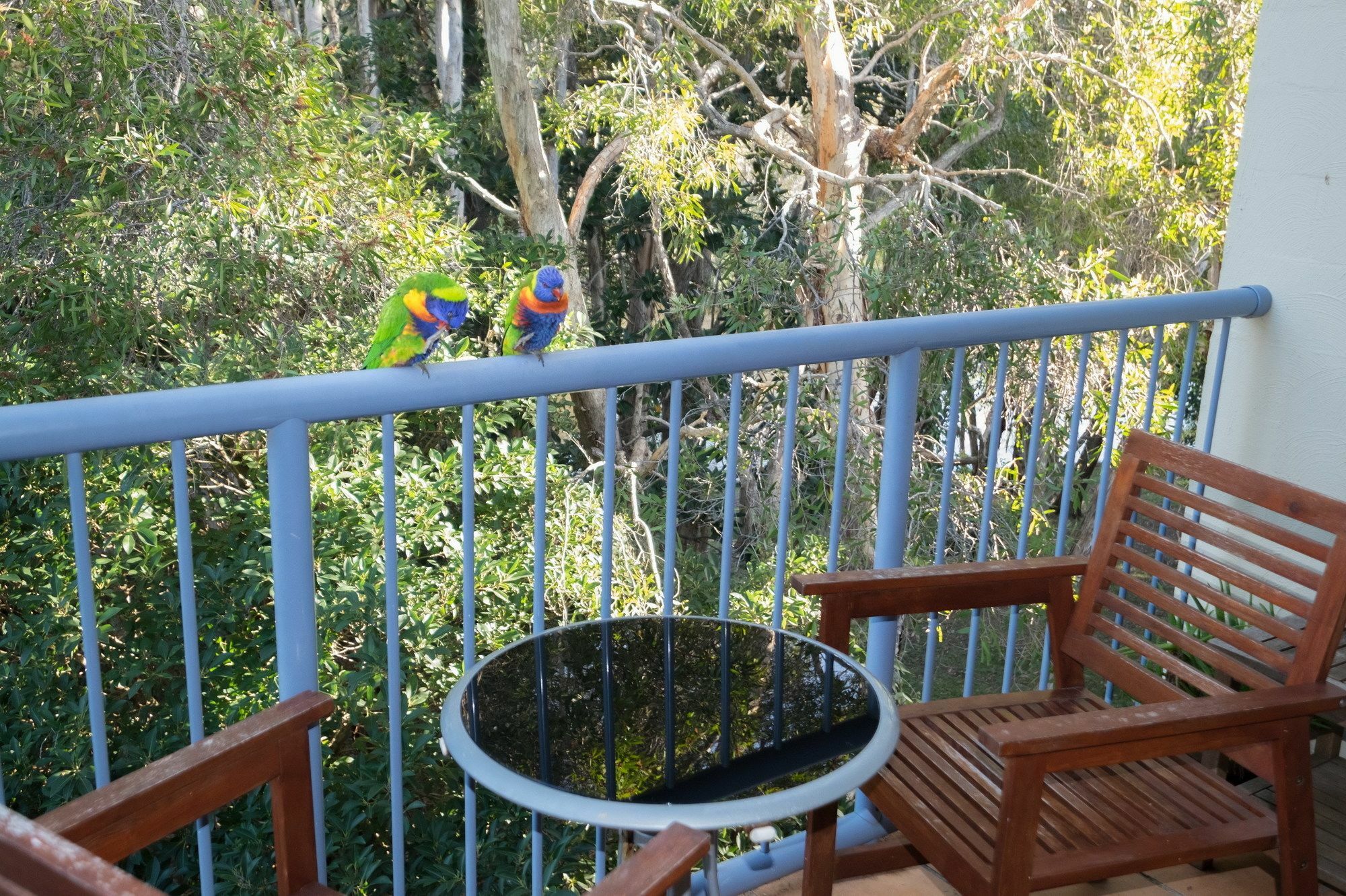 Sanctuary Lake Apartments Gold Coast Exterior photo